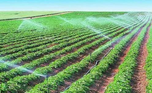 靠逼视频在哪里看农田高 效节水灌溉